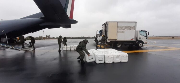 Llegan más vacunas a Tamaulipas
