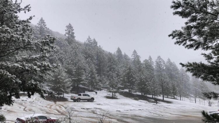Cae agua nieve en Arteaga, Coahuila