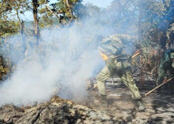 Van 260 hectáreas afectadas por incendios en Tula y Jaumave, Tamaulipas