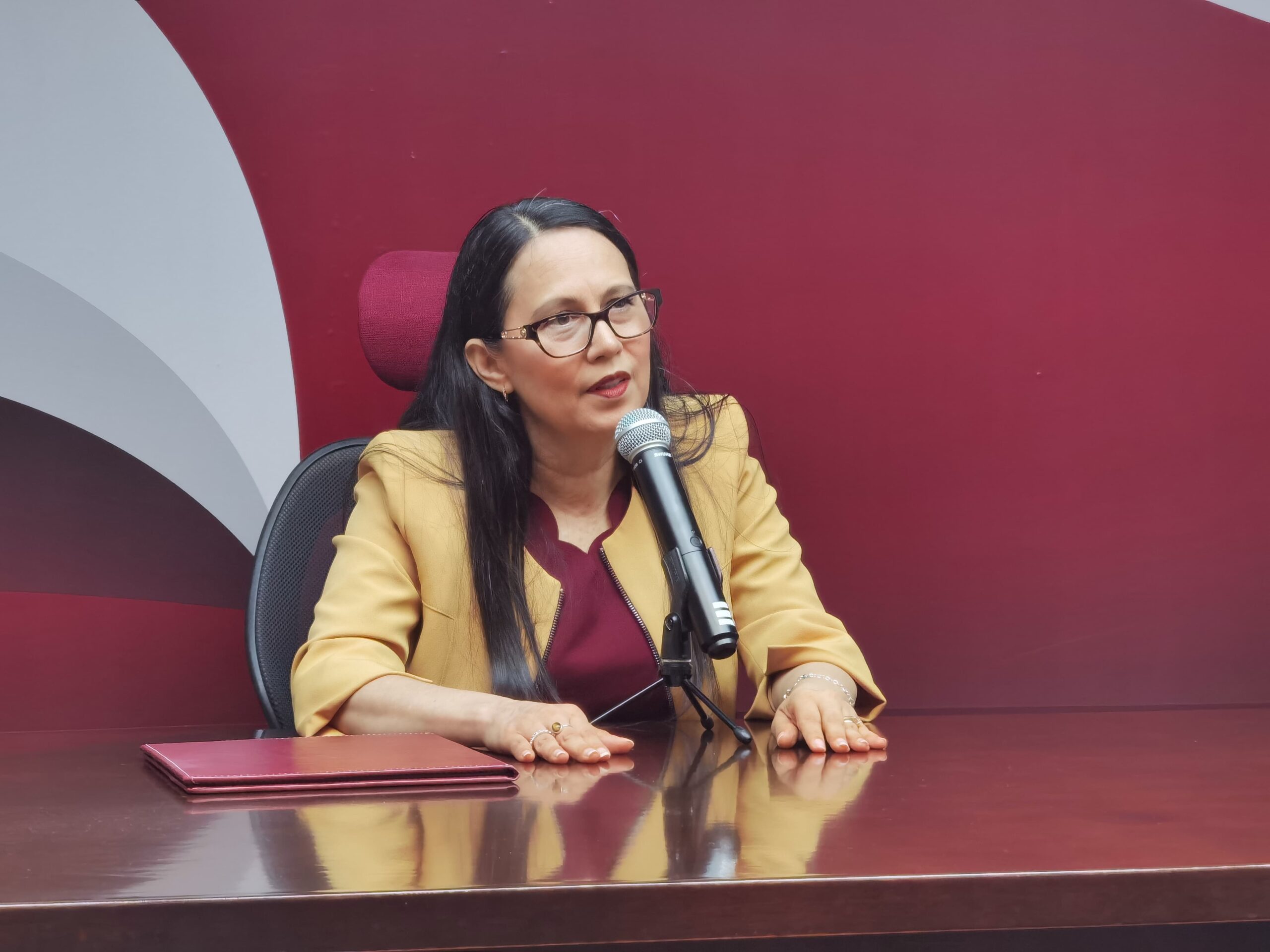 Norma Angélica Pedraza Melo, contralora gubernamental.