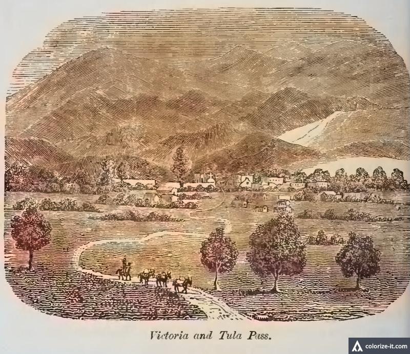 Camino Real a Tula Viñeta Arrieros